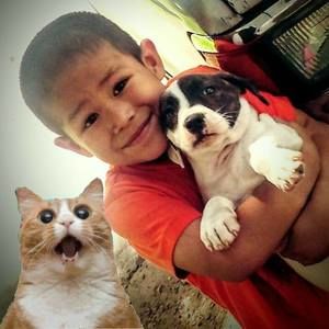 Meet your Posher, Jeronimo